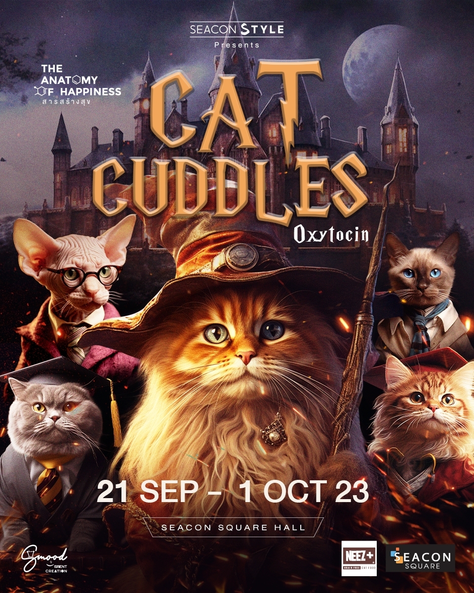 CAT CUDDLES_POSTER